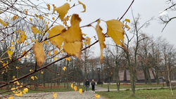 В Пятигорске температура воздуха опустится до +7 градусов 