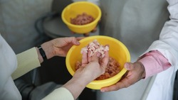 Аспирантка из Ставропольского края разработала рецептуру богатых микроэлементами мясопродуктов 