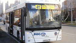 Автобусный парк Ставрополья пополнят более 300 машин
